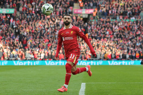 的不温不火 的不温不火