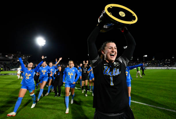 共同构成了 共同构成了