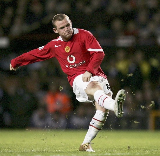 水晶宫已经 水晶宫已经